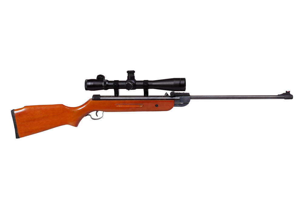 The Top 25 Quietest Air Rifles In 2023 Comprehensive vrogue.co